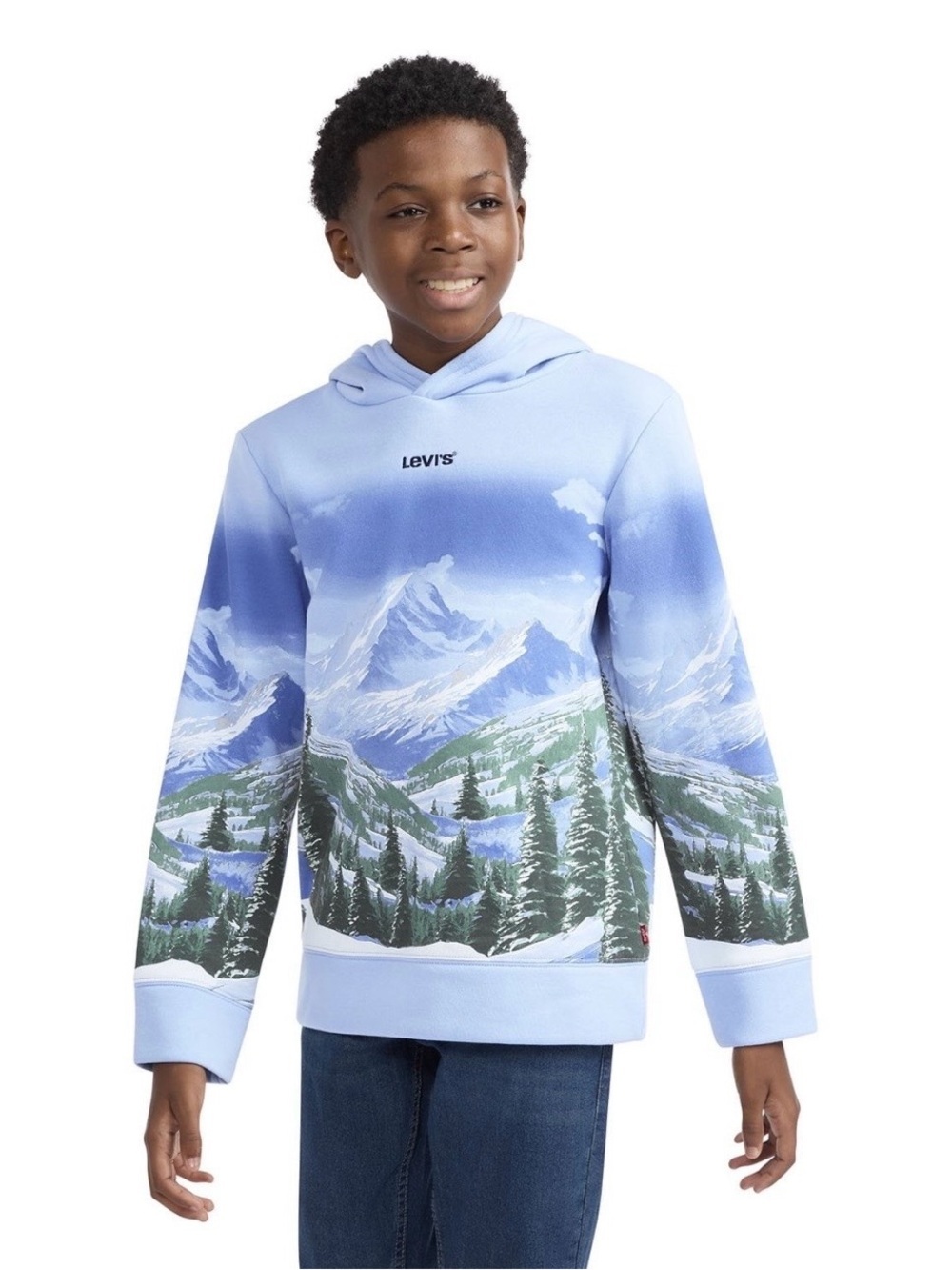 Levi's Blue Mountain Landscape Hoodie
